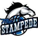 NorcoStampedeBasketball